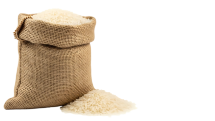 Burlap sack filled with white rice and spilled rice grains isolated on a transparent background