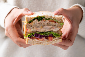 Sandwich tuna mayonnaise with whole wheat bread, lettuce, carrot, tomato and purple cabbage holding by woman hand