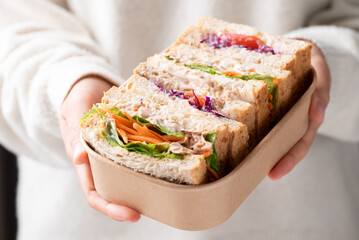 Sandwich tuna mayonnaise with whole wheat bread, lettuce, carrot, tomato and purple cabbage in biodegradable food box holding by woman hand