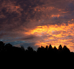 Colorful daybreak over a North Carolina treeline