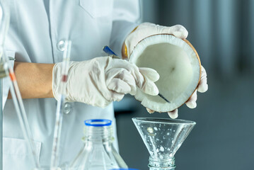A gloved scientist carefully cracks open a coconut to extract the milk inside.