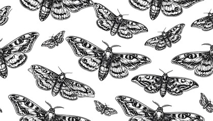 A repeating pattern of detailed, grayscale moths against a pristine white backdrop, creating an elegant, vintage-inspired design