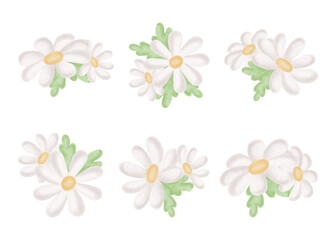Set of chamomiles with leaves cute watercolor illustrations for kids design. White daisy flowers for summer childrens themes. Hand-drawn isolated floral clip art for baby shower, postcard, stickers. .