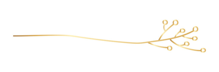 PNG Elegant gold botanical design on transparent background