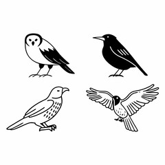 icon set of various black and white birds, line art