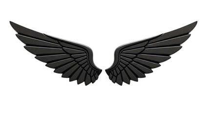 Obraz premium Black Glossy Wing Emblem