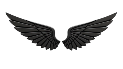Black Glossy Wing Emblem
