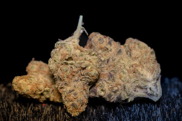 Obraz premium Studio close-up of medical cannabis flower and preparation details, including texture and plant material processing, presented in controlled lighting for healthcare, research, and alternative medicine