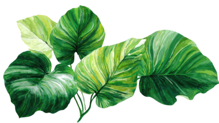 Tropical green leaves botanical illustration lush foliage natural plant artwork detailed texture isolated on white background