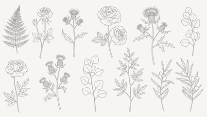 Obraz premium A collection of elegant hand-drawn botanical illustrations featuring various plants, flowers, and leaves in a minimalist line art style.