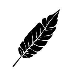 A simple black feather illustration on a white background with a natural texture