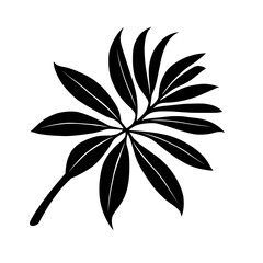 Black and white illustration of a stylized plant with multiple leaves radiating outwards from a central stem