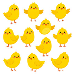 Fototapeta premium A cute cartoon vector set of funny yellow chicken and baby chick illustrations featuring colorful spring birds and nature patterns for an Easter art design