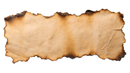 A piece of burnt paper with rough edges on a black background