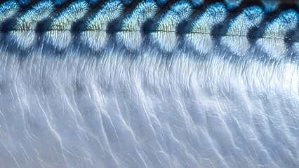 Close up of blue fish scales texture. © MDigital Art Studio
