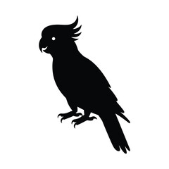 Obraz premium Parrot Bird Silhouette Black Vector Icon for Logo, Tattoo, Website
