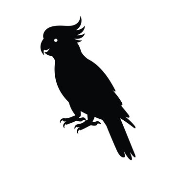 Parrot Bird Silhouette Black Vector Icon for Logo, Tattoo, Website