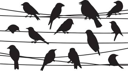 Obraz premium Bird Silhouettes on Wires Set Black Vector Collection, black and white silhouette, vector and illustration 