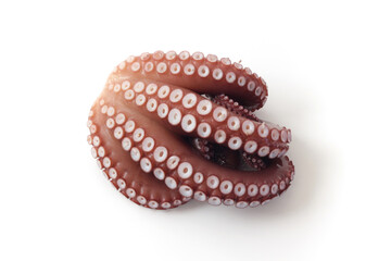 白背景のゆでたこ