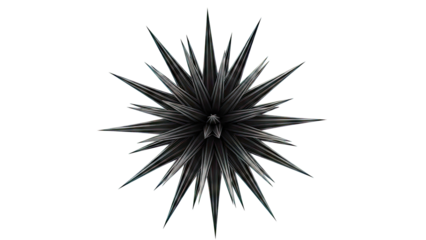 3D Render of a Black Spiky Starburst Object