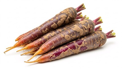 Artfully Stacked Burdock Roots in Staggered Formation with Green Leaves and Earthy Tones for Culinary and Wellness Context