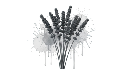 Monochromatic Lavender Sprigs with Watercolor Splashes