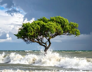 A windswept tree stands defiant against crashing waves under a storm