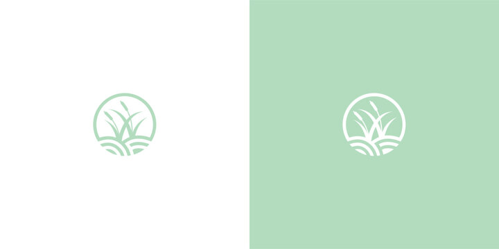 Tranquil reeds logo against calming backgrounds
