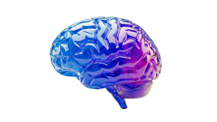 Abstract Glass Brain Sculpture with Blue and Purple Gradient