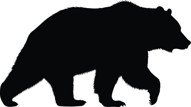 Black bear silhouette illustration showing a walking bear in bold solid style, perfect for wildlife, nature, and outdoor designs