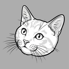 Obraz premium Curious Cat Head Illustration