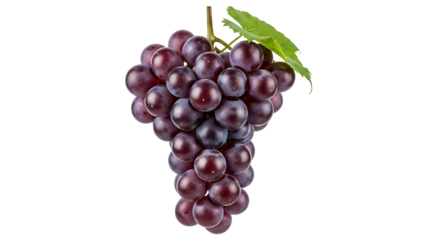 Fresh purple grapes bunch with green leaves isolated on transparent background