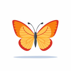 Vibrant butterfly illustration orange and yellow wings on white background