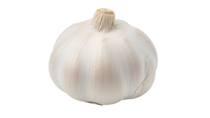 Whole bulb of white garlic isolated on transparent background