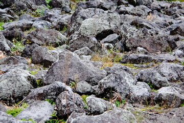 溶岩石が広がる風景