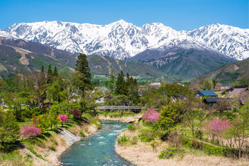 大出公園　春　白馬村 © Mugi
