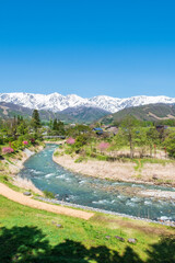 大出公園　春　白馬村