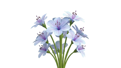 Bouquet of Light Blue Flowers with Purple Veins