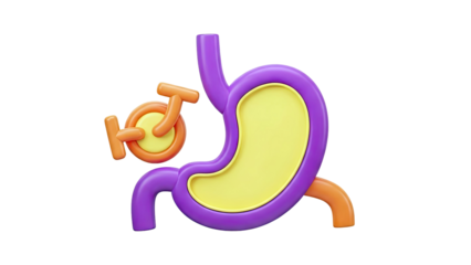 Stylized 3D Stomach Anatomy with Gender Symbol