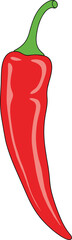 Red chili pepper vector illustration with glossy highlights for food branding packaging menu design and spice concept