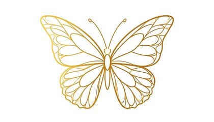 A golden, line-art butterfly illustration, symmetrical and detailed with delicate wing patterns. The art is isolated on a white backdrop