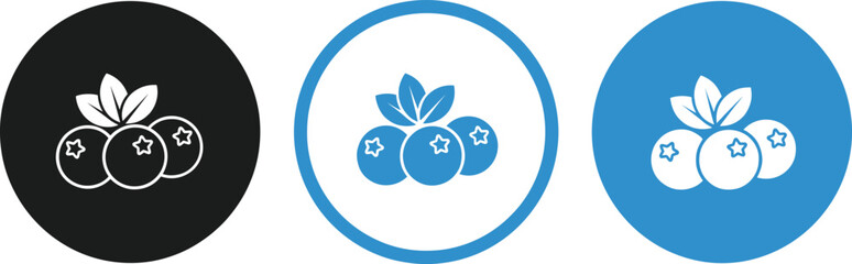 Blueberry fruit icon set with circular badges representing fresh organic food, healthy nutrition, and modern flat vector design © Shamim
