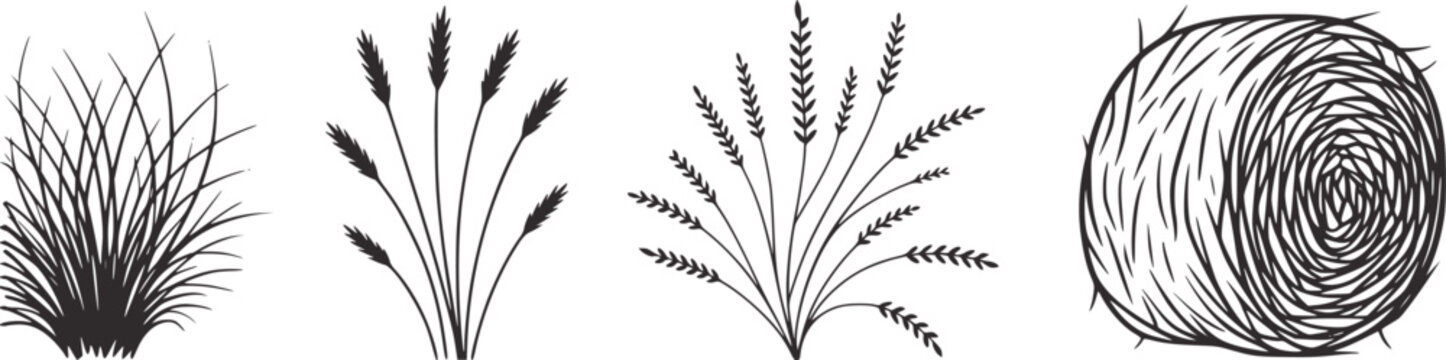 Black line grass wheat stalks and hay bale