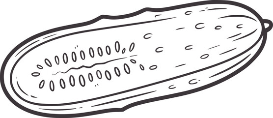 Hand drawn line of a cucumber slice with visible seeds and textured skin food vegetable