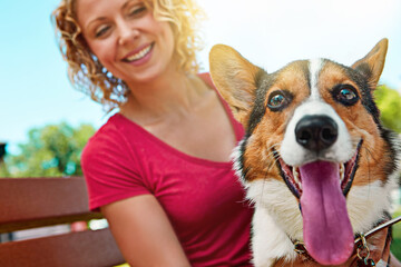 Corgi, woman and relax with dog at park for animal adoption, connection and bonding together. Love,...