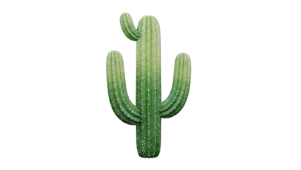 Saguaro Cactus