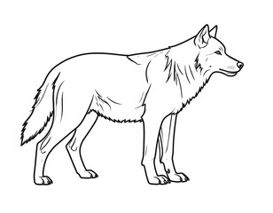 Fototapeta premium A black and white line drawing of a canine