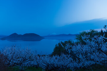 北海道壮瞥町2025春-早朝の壮瞥公園-16