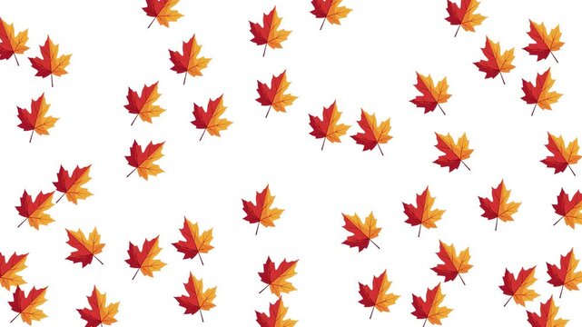 Autumn leaf icon pattern motion on clean white background with seamless looping animation, perfect for seasonal branding, videos, presentations, and UI design.