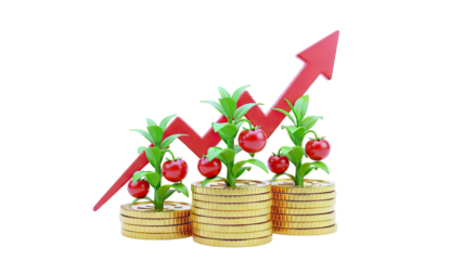 Growing Investment: Coins, Tomato Plants, and Upward Trend Arrow